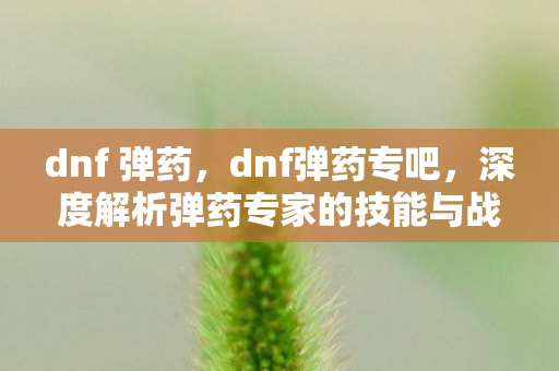 dnf 弹药，dnf弹药专吧，深度解析弹药专家的技能与战术