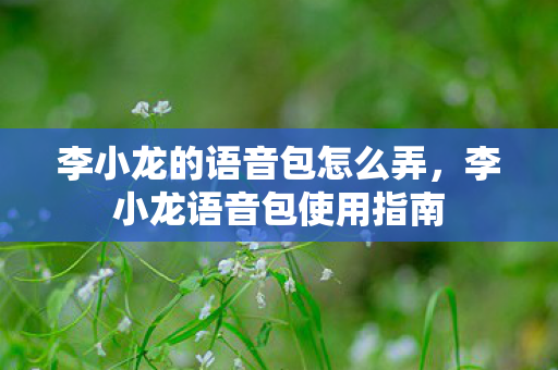 李小龙的语音包怎么弄，李小龙语音包使用指南