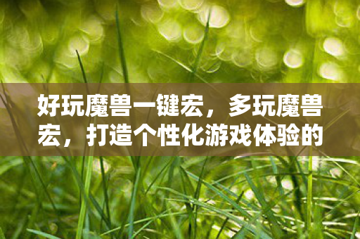 好玩魔兽一键宏，多玩魔兽宏，打造个性化游戏体验的利器