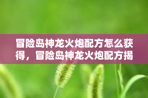 冒险岛神龙火炮配方怎么获得，冒险岛神龙火炮配方揭秘，打造传奇武器的秘密