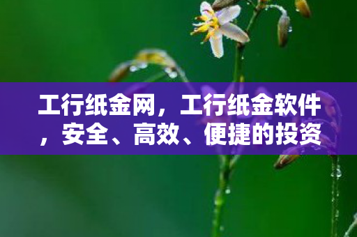 工行纸金网，工行纸金软件，安全、高效、便捷的投资利器