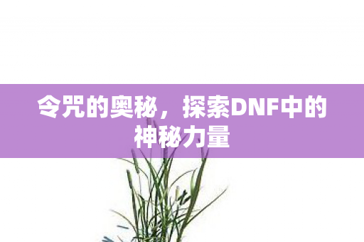 令咒的奥秘，探索DNF中的神秘力量