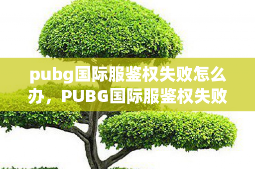 pubg国际服鉴权失败怎么办，PUBG国际服鉴权失败，解锁你的游戏之旅的绊脚石