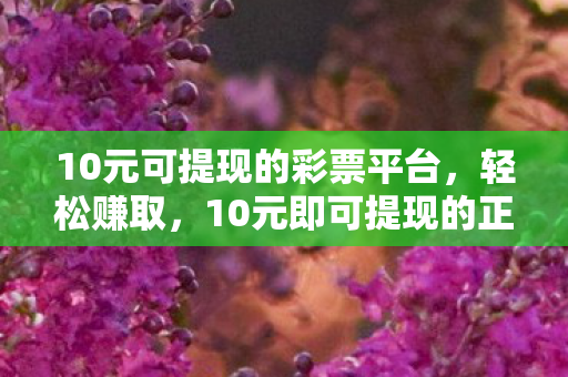 10元可提现的彩票平台，轻松赚取，10元即可提现的正规平台揭秘