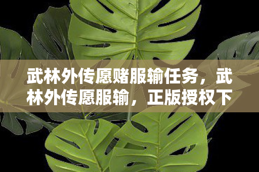 武林外传愿赌服输任务，武林外传愿服输，正版授权下的江湖新篇章