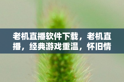 老机直播软件下载，老机直播，经典游戏重温，怀旧情怀再现