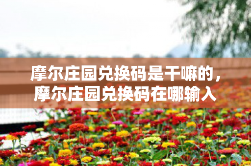 摩尔庄园兑换码是干嘛的，摩尔庄园兑换码在哪输入