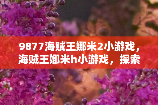 9877海贼王娜米2小游戏，海贼王娜米h小游戏，探索未知世界的奇妙之旅