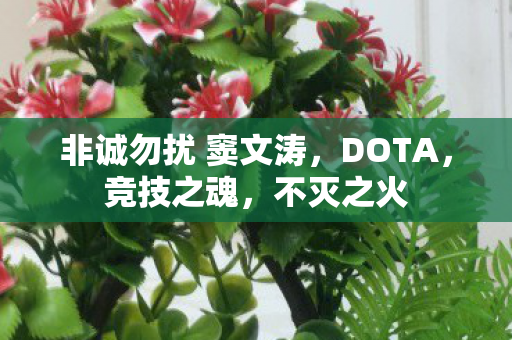 非诚勿扰 窦文涛，DOTA，竞技之魂，不灭之火