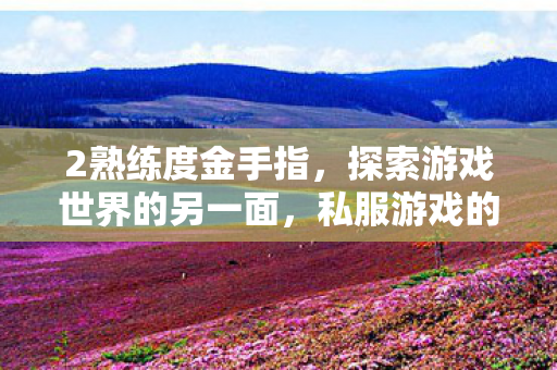 2熟练度金手指，探索游戏世界的另一面，私服游戏的魅力与挑战