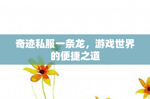 奇迹私服一条龙，游戏世界的便捷之道
