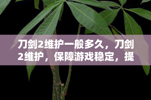 刀剑2维护一般多久，刀剑2维护，保障游戏稳定，提升玩家体验