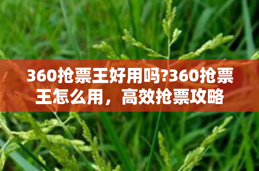 360抢票王好用吗?360抢票王怎么用，高效抢票攻略