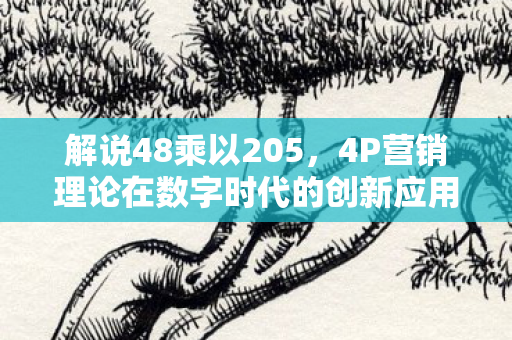解说48乘以205，4P营销理论在数字时代的创新应用