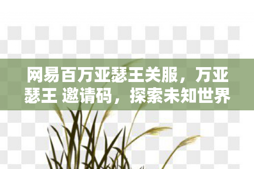 网易百万亚瑟王关服，万亚瑟王 邀请码，探索未知世界的神秘钥匙