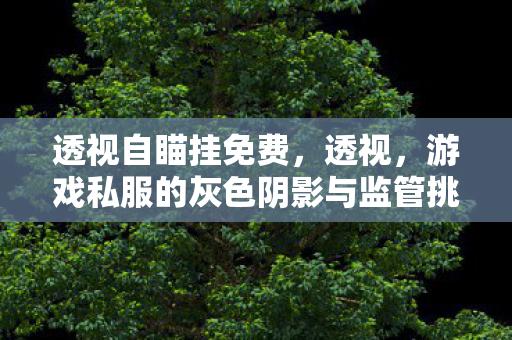 透视自瞄挂免费，透视，游戏私服的灰色阴影与监管挑战