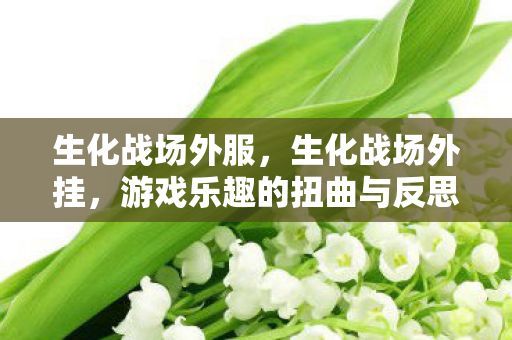 生化战场外服，生化战场外挂，游戏乐趣的扭曲与反思