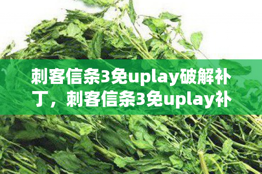 刺客信条3免uplay破解补丁，刺客信条3免uplay补丁，解锁游戏新体验