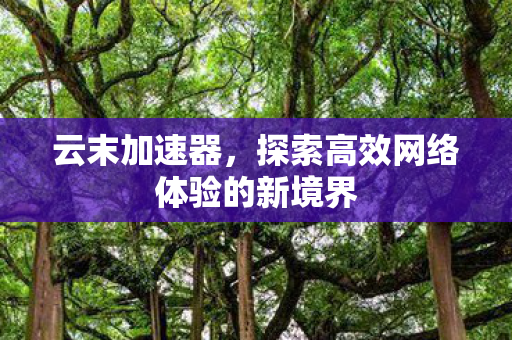云末加速器，探索高效网络体验的新境界