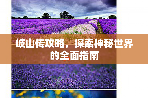 岐山传攻略，探索神秘世界的全面指南