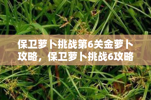 保卫萝卜挑战第6关金萝卜攻略，保卫萝卜挑战6攻略金萝卜布阵图