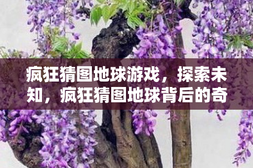 疯狂猜图地球游戏，探索未知，疯狂猜图地球背后的奇妙世界