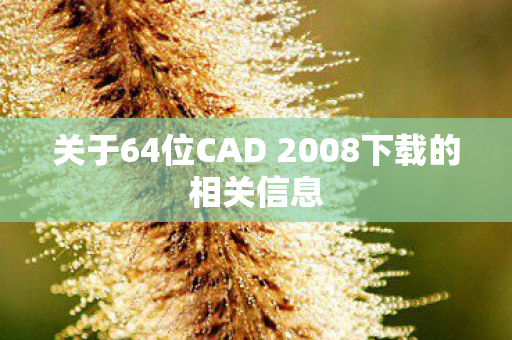 关于64位CAD 2008下载的相关信息