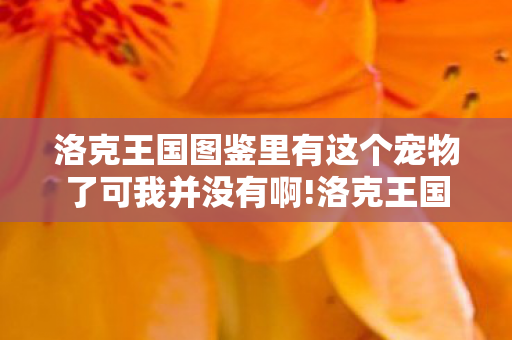 洛克王国图鉴里有这个宠物了可我并没有啊!洛克王国物图鉴，探索奇幻世界的奇妙生物