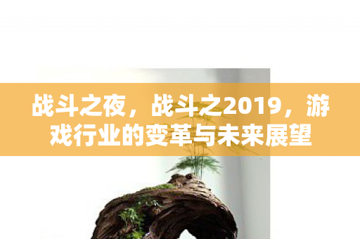 战斗之夜，战斗之2019，游戏行业的变革与未来展望