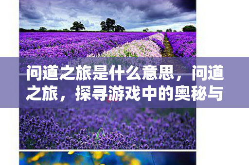 问道之旅是什么意思，问道之旅，探寻游戏中的奥秘与乐趣
