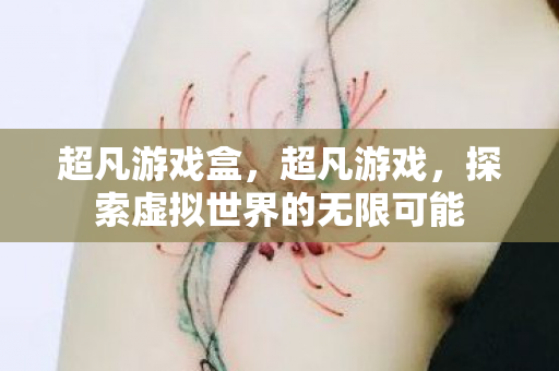 超凡游戏盒，超凡游戏，探索虚拟世界的无限可能
