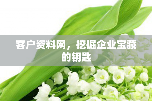 客户资料网，挖掘企业宝藏的钥匙
