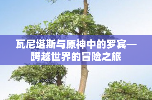 瓦尼塔斯与原神中的罗宾—跨越世界的冒险之旅