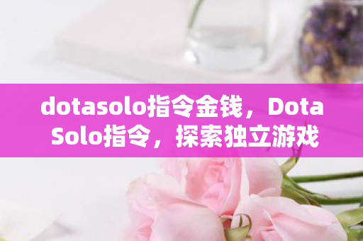 dotasolo指令金钱，Dota Solo指令，探索独立游戏的深度与魅力