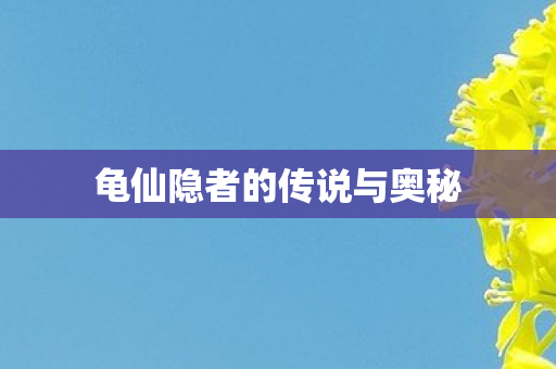 龟仙隐者的传说与奥秘 龟仙隐者的传说与奥秘