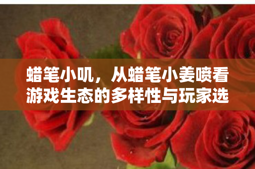 蜡笔小叽，从蜡笔小姜喷看游戏生态的多样性与玩家选择