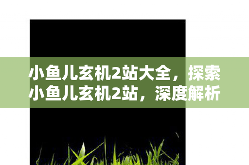 小鱼儿玄机2站大全，探索小鱼儿玄机2站，深度解析其魅力与特色