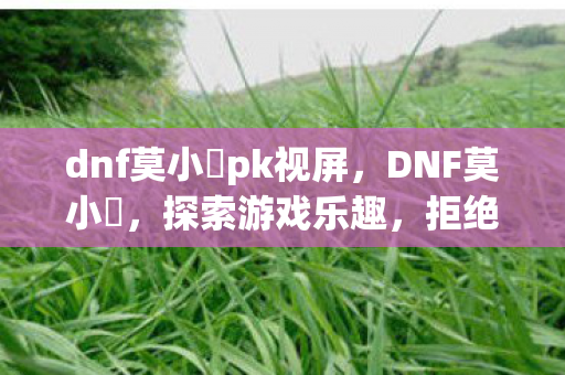 dnf莫小囧pk视屏，DNF莫小囧，探索游戏乐趣，拒绝私服诱惑