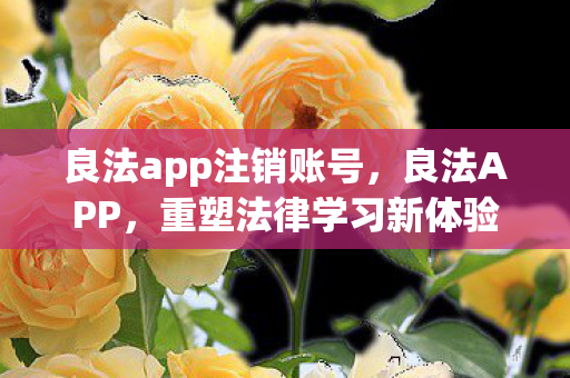 良法app注销账号，良法APP，重塑法律学习新体验