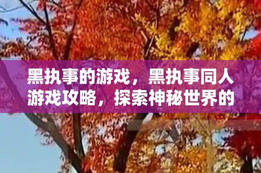 黑执事的游戏，黑执事同人游戏攻略，探索神秘世界的完美指南