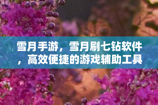 雪月手游，雪月刷七钻软件，高效便捷的游戏辅助工具