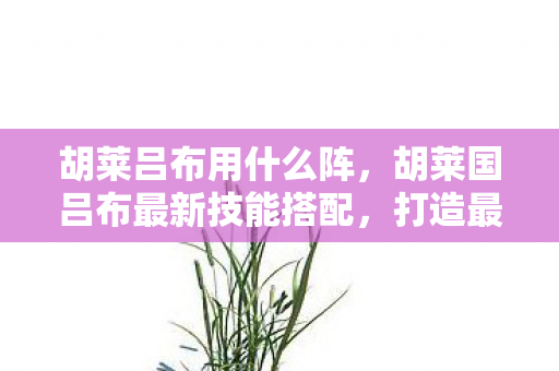 胡莱吕布用什么阵，胡莱国吕布最新技能搭配，打造最强战斗力的策略指南
