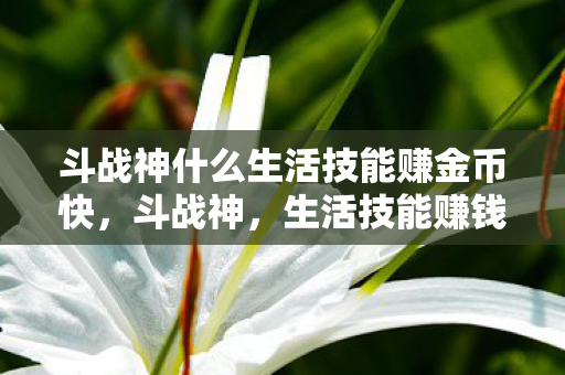 斗战神什么生活技能赚金币快，斗战神，生活技能赚钱攻略