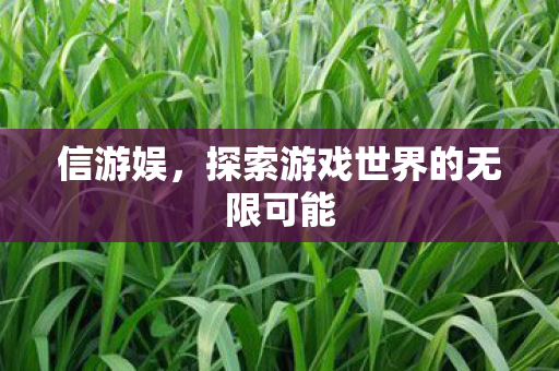 信游娱，探索游戏世界的无限可能