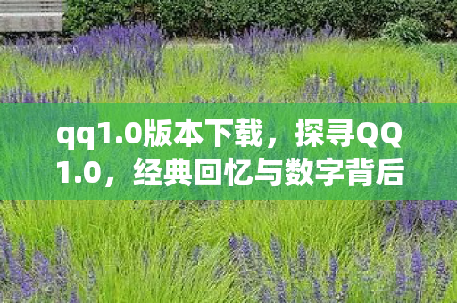 qq1.0版本下载，探寻QQ1.0，经典回忆与数字背后的故事