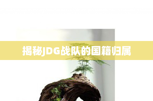 揭秘JDG战队的国籍归属 揭秘JDG战队的国籍归属