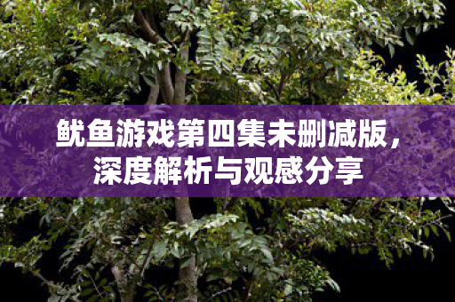鱿鱼游戏第四集未删减版，深度解析与观感分享