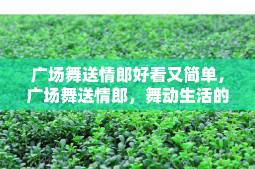 广场舞送情郎好看又简单，广场舞送情郎，舞动生活的浪漫与激情