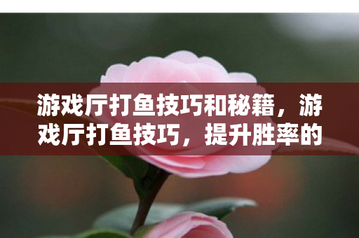 游戏厅打鱼技巧和秘籍，游戏厅打鱼技巧，提升胜率的策略与心得