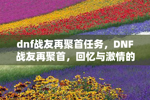 dnf战友再聚首任务，DNF战友再聚首，回忆与激情的碰撞